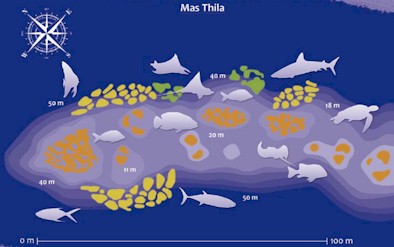 Mas Thila (Gaafu Alifu - Gaafu Dhaalu)